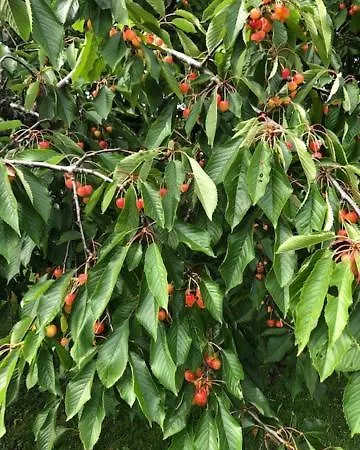 Koselig Maritim Sentralt I شقة